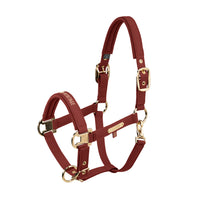 Kantar Eskadron Heritage 26/27 FAUX LEATHER DOUBLE PIN w kolorze Merlot