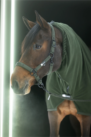 Eskadron DYNAMIC 25 A/W Kantar  Double Pin Black + Poppy Red - Cavalo