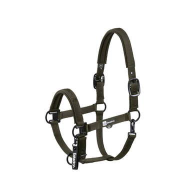 Eskadron DYNAMIC 25 A/W Kantar  Double Pin Black + Poppy Red - Cavalo