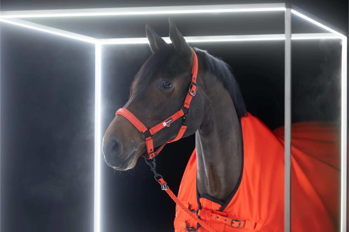 Eskadron DYNAMIC 25 A/W Kantar SPARKLE Double Poppy Red - Cavalo