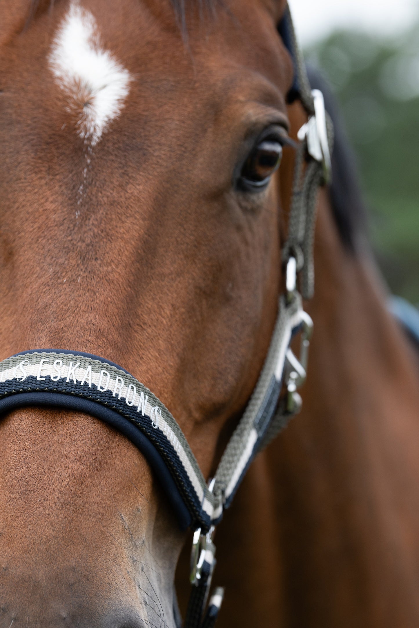 Eskadron kantar DOUBLE PIN 420175 Classic Sports S/S 2025 - Cavalo