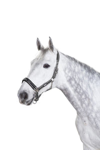 Eskadron kantar Double Pin Buckle Basic anthra-white-black - Cavalo