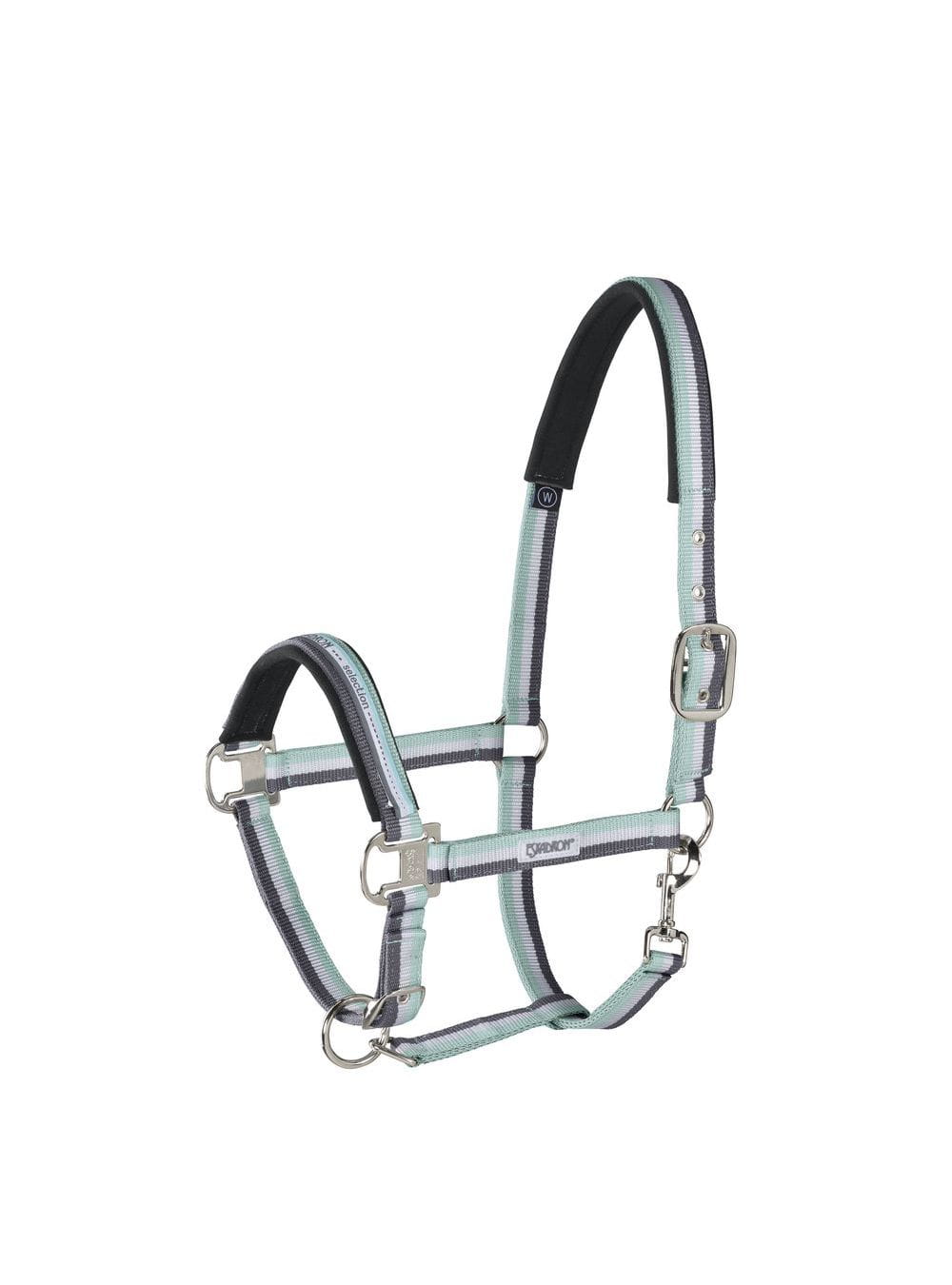 Eskadron kantar Double Pin Buckle Basic ice-white-stone - Cavalo