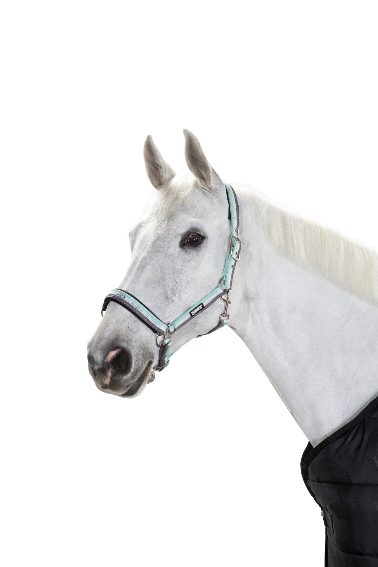 Eskadron kantar Double Pin Buckle Basic ice-white-stone - Cavalo