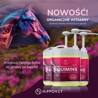 Hippovet Pharmacy Equimins witaminy i minerały dla koni 2,5l