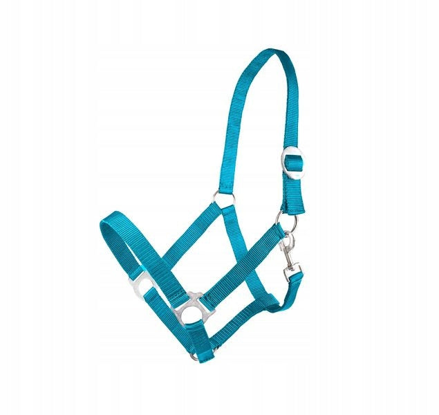 Kantar dla konia BASIS Fenix teal - Cavalo