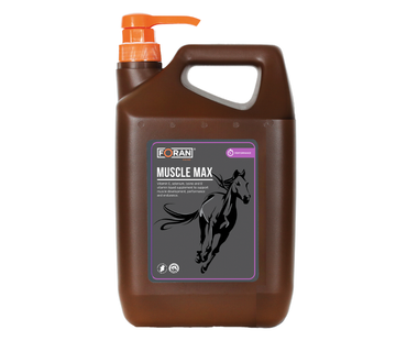FORAN Muscle-Max suplement wspomagający zdrowie rozbudowę oraz regenerację mięśni - Cavalo