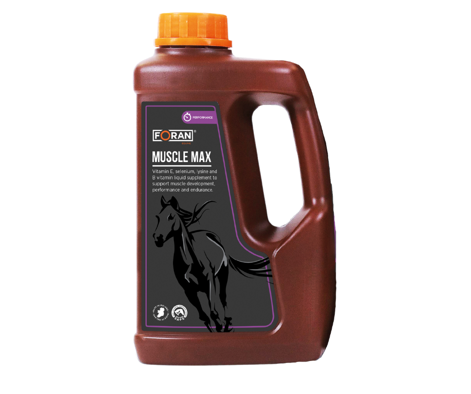 FORAN Muscle-Max suplement wspomagający zdrowie rozbudowę oraz regenerację mięśni - Cavalo