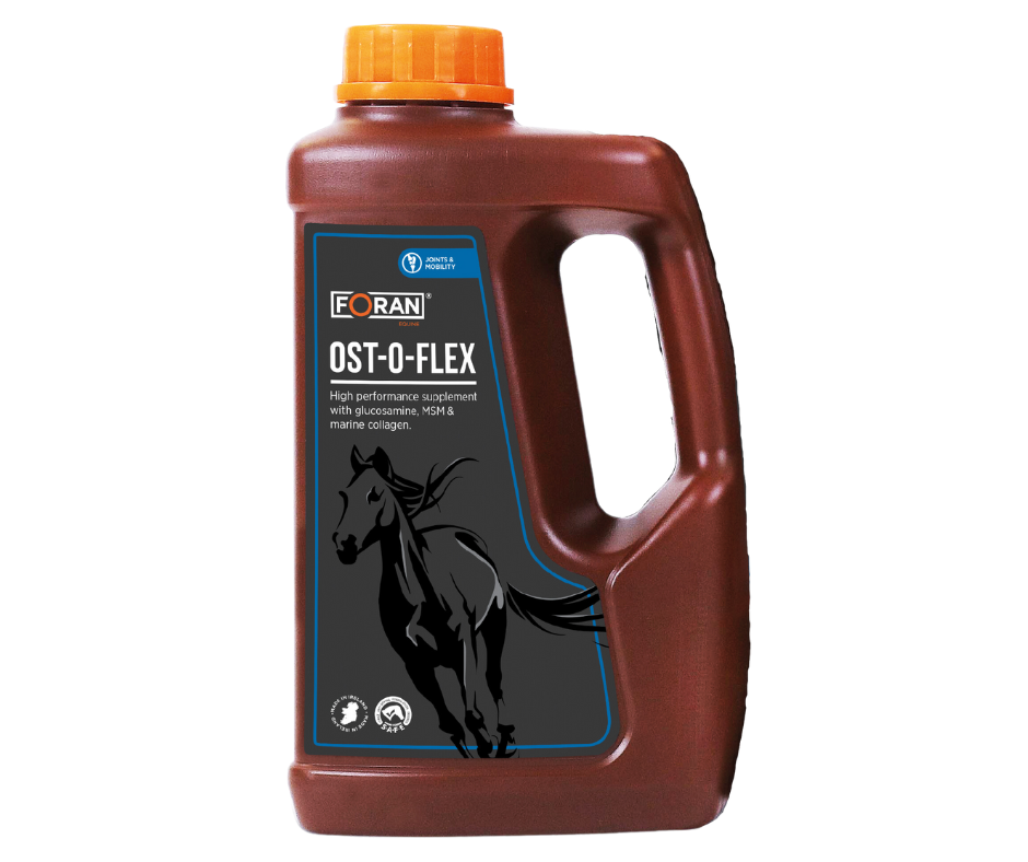FORAN Ost-O-Flex syrop funkcjonowanie stawów - Cavalo
