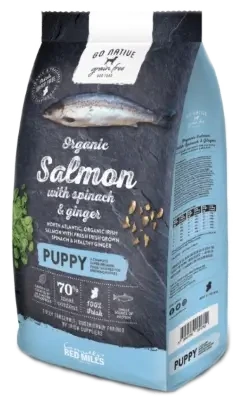 Go Native Karma pełnoporcjowa dla szczeniąt z łososiem szpinakiem i imbirem 800g - Cavalo