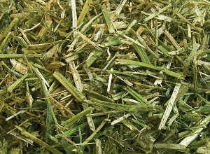 Sieczka Hartog Lucerne-Mix 18 kg mieszanka lucerny - Cavalo