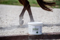 Hippovet Pharmacy Mucolitol – na oddychanie 3 kg - Cavalo