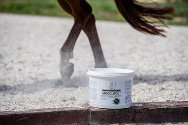 Hippovet Pharmacy Mucolitol – na oddychanie 3 kg - Cavalo