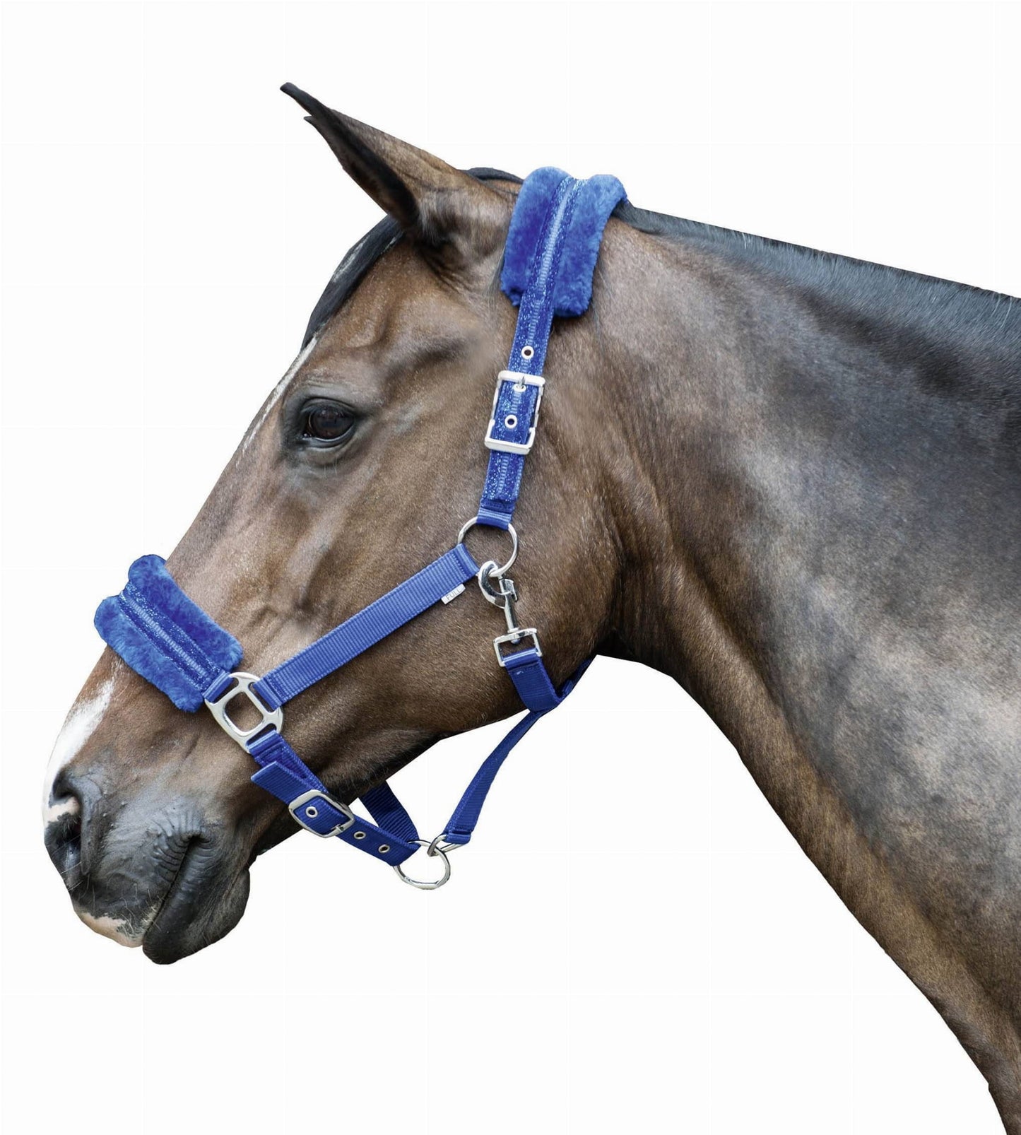 Kantar HKM Glitter z podszyciem polarowym - Cavalo