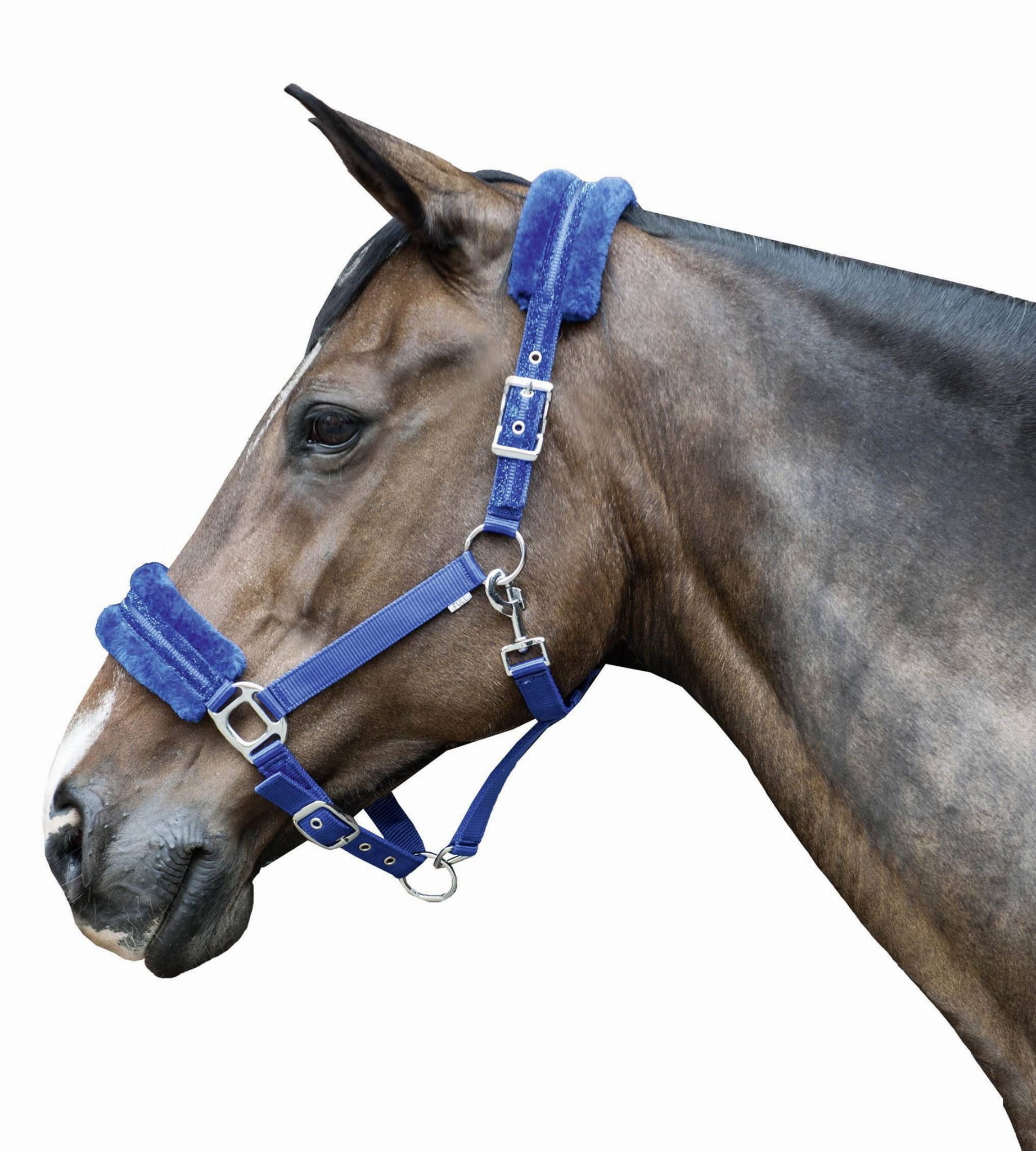 Kantar HKM Glitter z podszyciem polarowym - Cavalo