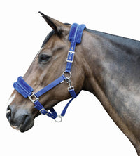 Kantar HKM Glitter z podszyciem polarowym - Cavalo