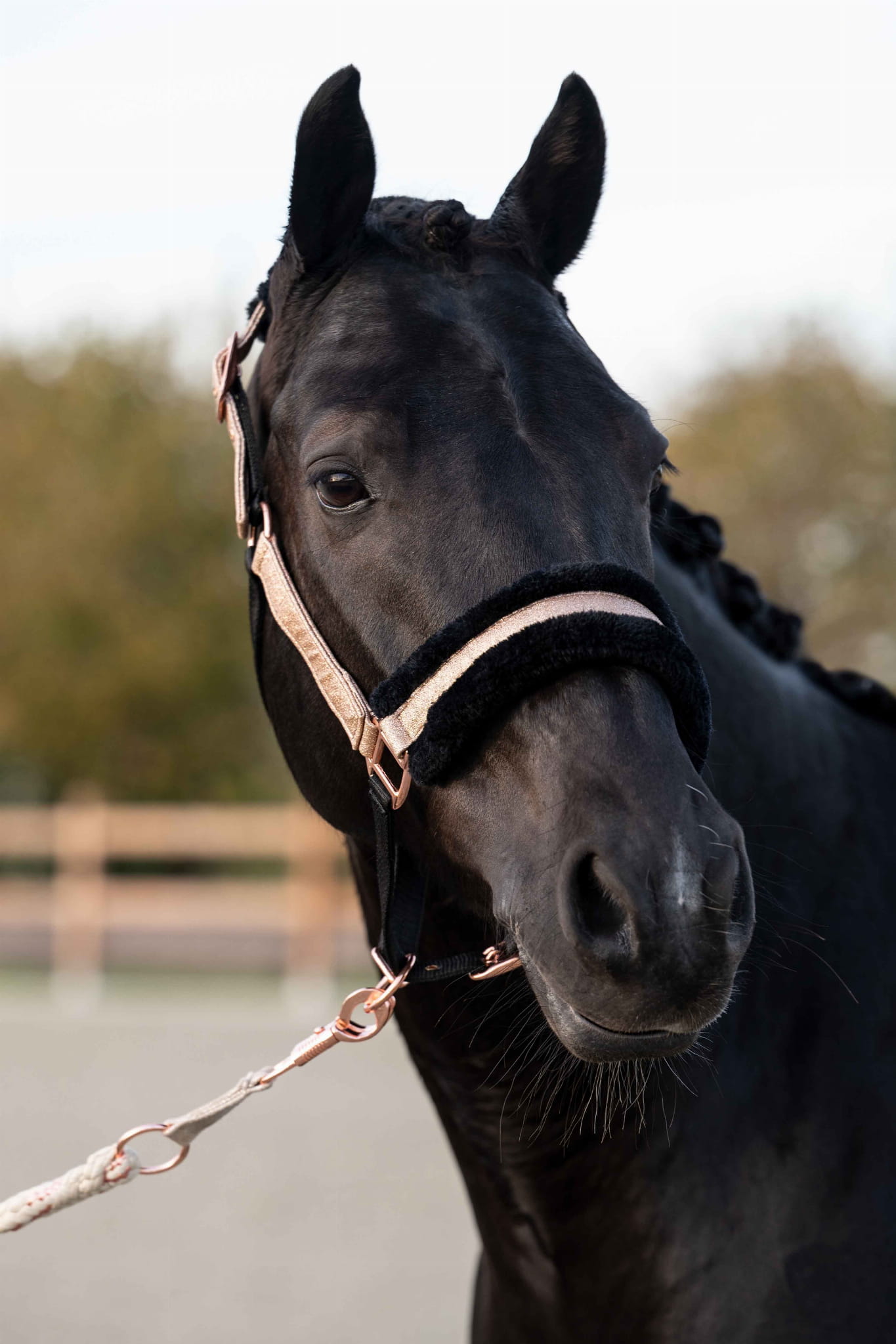 Kantar HKM Rosegold Glitter Style brokatowy kantar z futerkiem - Cavalo