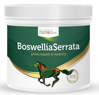 HorseLine Boswellia Serrata 500g stawy mięśni - Cavalo