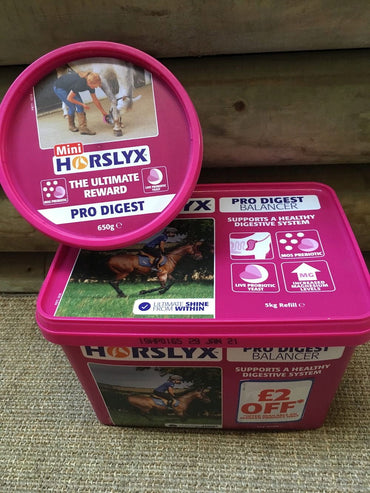 Horslyx Pro Digest Balancer lizawka witaminowa 5kg - Cavalo