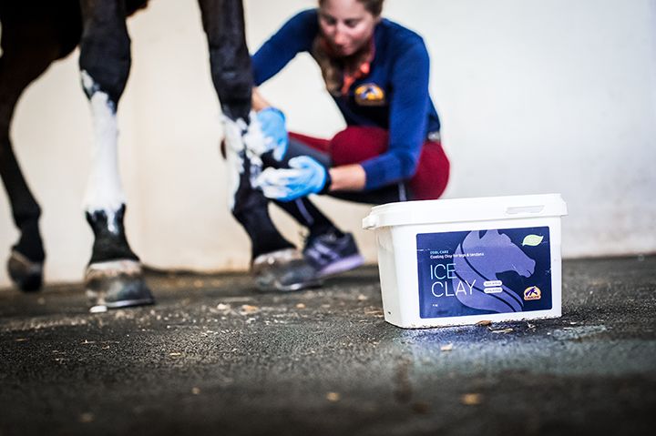 Cavalor Glinka dla konia Ice Clay 4 kg