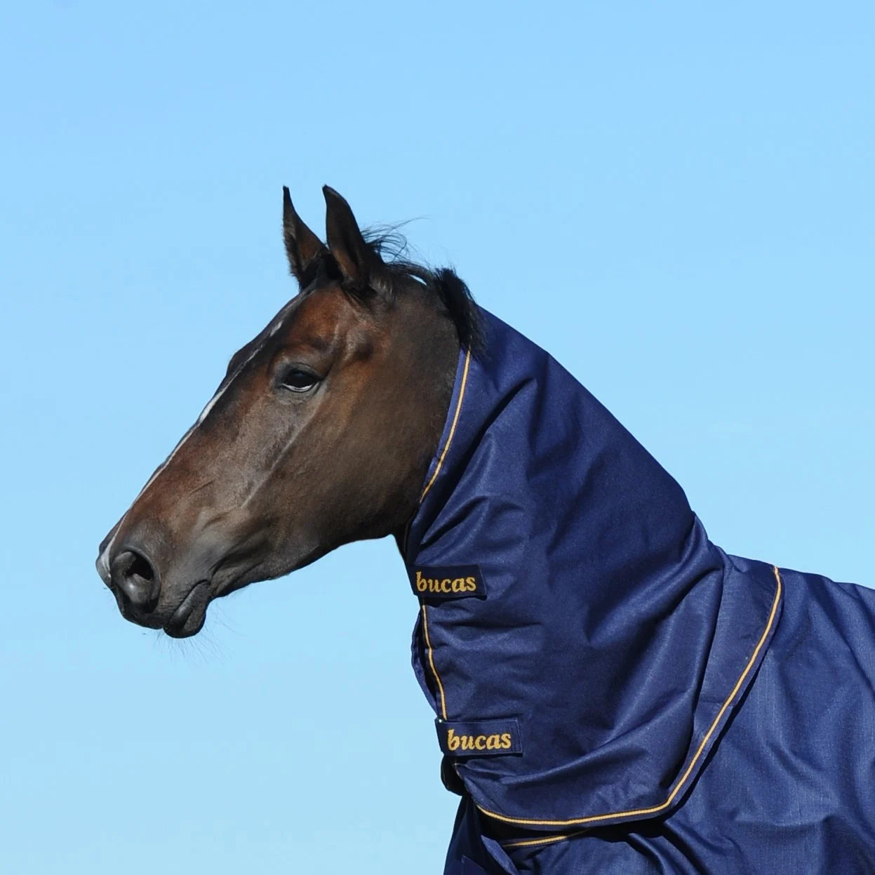 Kaptur Bucas Irish Neck
