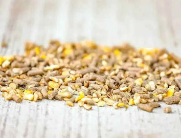 Cavalor Juniorix musli dla młodych koni i roczniaków 20kg