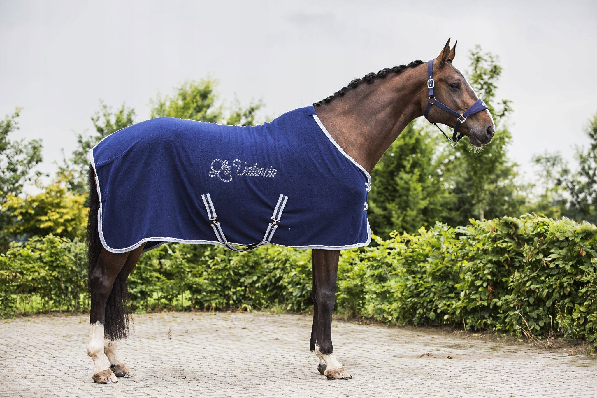 DERKA STAJENNA 200G BLUE KAVALKADE 115cm - Cavalo