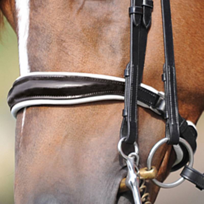 Nachrapnik skórzany Charlotte Kavalkade - Cavalo