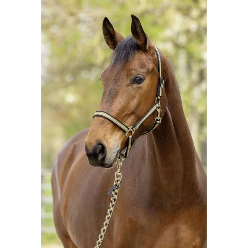 Kantar Hippo S/S 2026, black / walnut, Covalliero