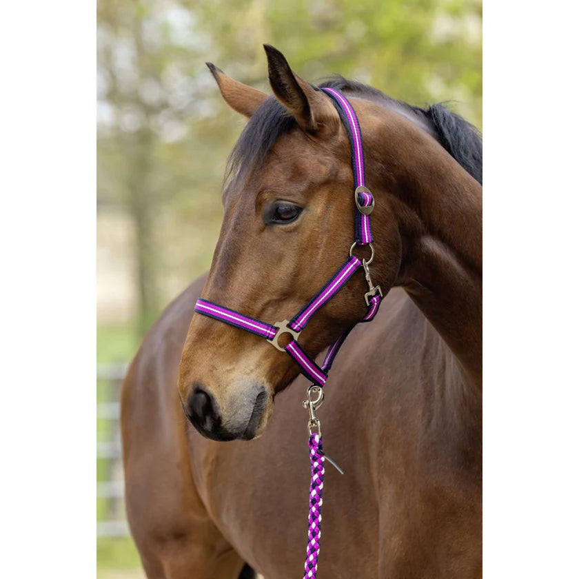 Kantar Hippo S/S 2026, dark navy / light berry, Covalliero