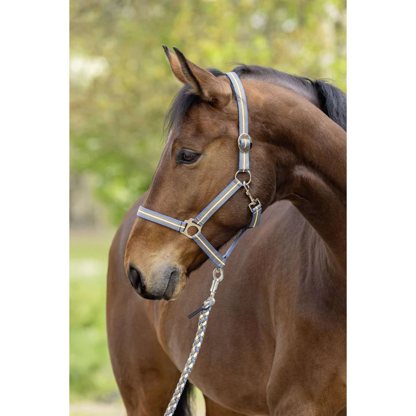 Kantar Hippo S/S 2026, smoked blue / walnut, Covalliero