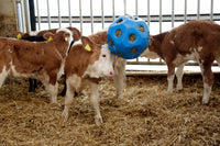 Piłka do zabawy dla konia HeuBoy 40 cm Kerbl - Cavalo