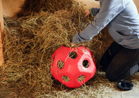Piłka do zabawy dla konia HeuBoy 40 cm Kerbl - Cavalo