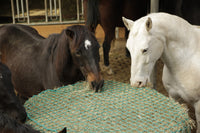 Siatka na siano do bel, zielony, 180 x 180 cm, oczko 4,5 cm, Kerbl - Cavalo