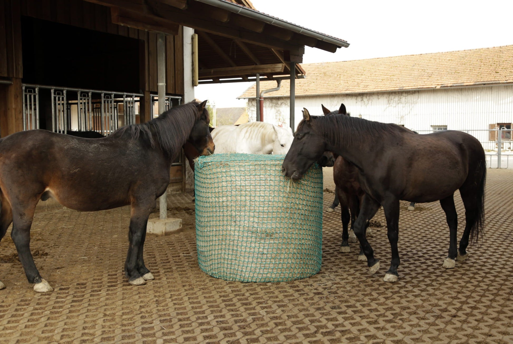 Siatka na siano do bel, zielony, 180 x 180 cm, oczko 4,5 cm, Kerbl - Cavalo