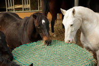 Siatka na siano do bel, zielony, 180 x 180 cm, oczko 4,5 cm, Kerbl - Cavalo