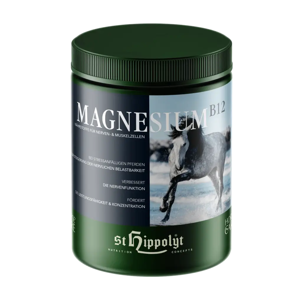 St. Hippolyt Magnesium B12 1kg