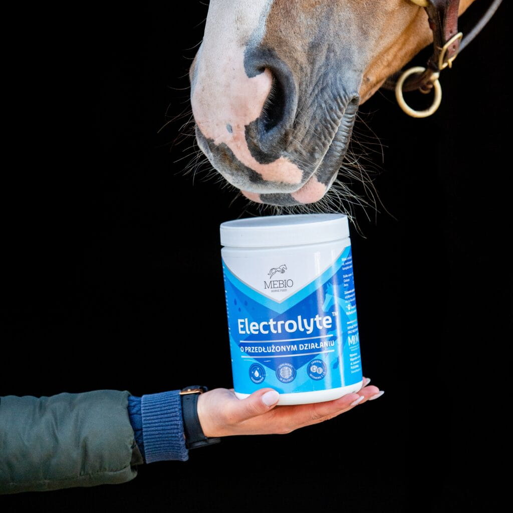 Electrolyte MEBIO – elektrolity o przedłużonym działaniu 1 kg - Cavalo