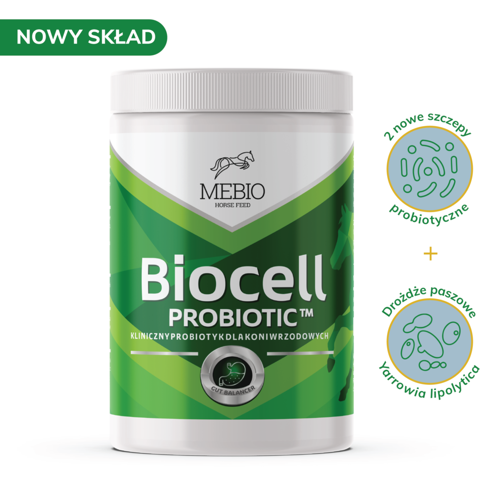 Mebio – BIOCELL – probiotyk 1 kg - Cavalo