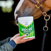 Mebio – BIOCELL – probiotyk 1 kg - Cavalo