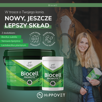 Mebio – BIOCELL – probiotyk 1 kg - Cavalo