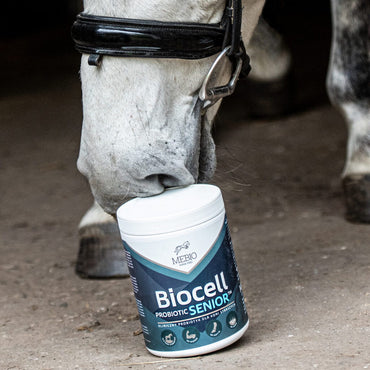 Mebio BIOCELL Senior – probiotyk 1 kg - Cavalo