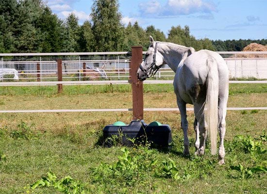 Poidło niezamarzające izolowane dwukomorowe Kerbl kulowe 100 l