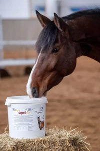 Omega 3 OptiLin 9kg szybkie siemię lniane dla koni - Cavalo