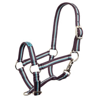 Kantar Premier Fun - Cavalo