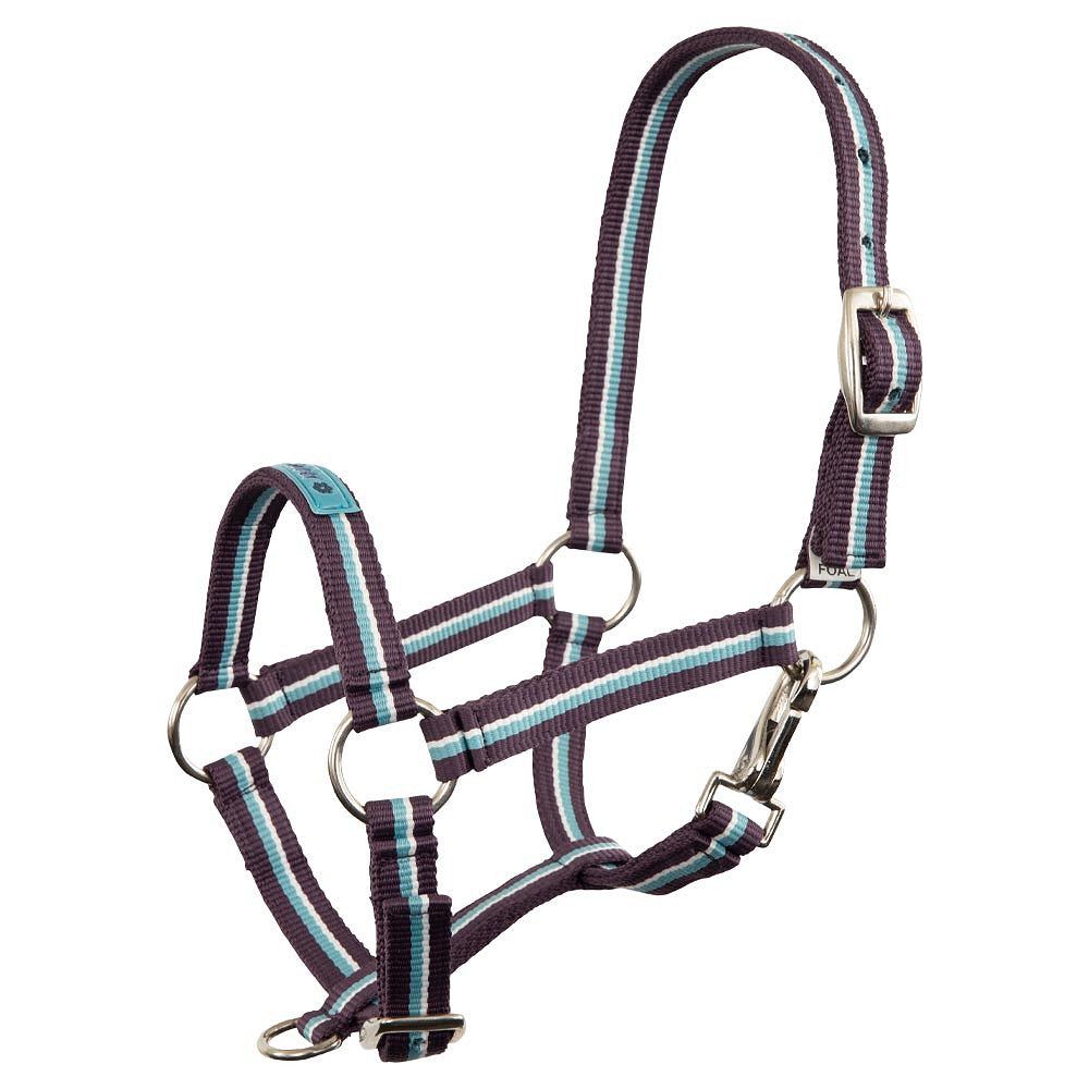 Kantar Premier Fun - Cavalo