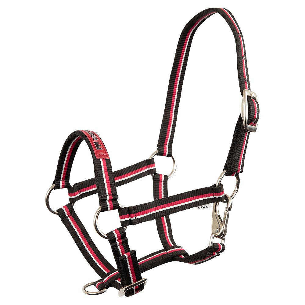 Kantar Premier Fun - Cavalo