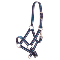 Kantar Premier Fun - Cavalo
