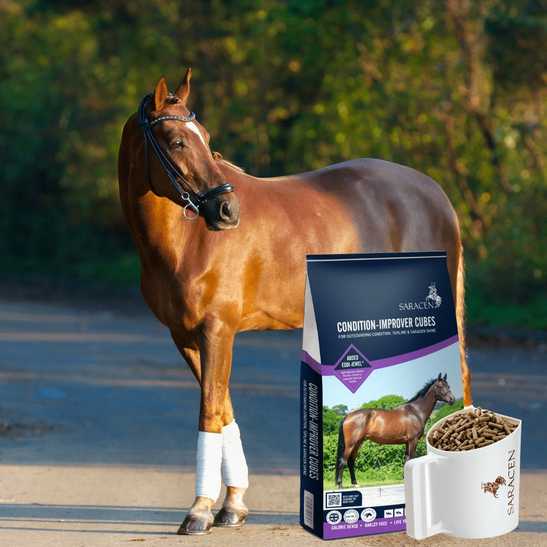 SARACEN Condition-Improver Cubes dla koni 20kg - Cavalo