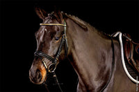 Ogłowie skórzane Schockemohle "Heidelberg" Black - Cavalo
